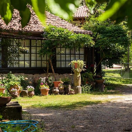 Chale Da Quinta "Lavoura Da Bouca - Fruta Bio" Vendégház Celorico De Basto Kültér fotó
