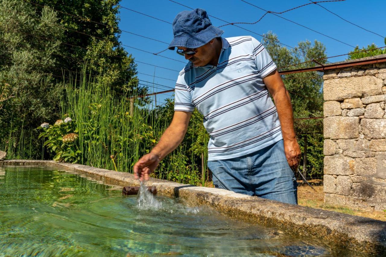 Chale Da Quinta "Lavoura Da Bouca - Fruta Bio" Vendégház Celorico De Basto Kültér fotó