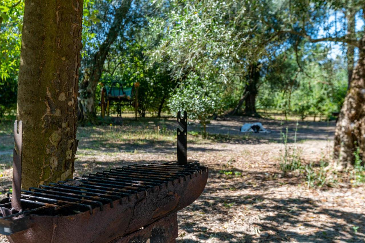 Chale Da Quinta "Lavoura Da Bouca - Fruta Bio" Vendégház Celorico De Basto Kültér fotó