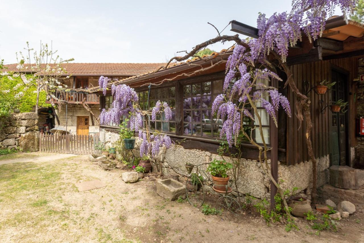 Chale Da Quinta "Lavoura Da Bouca - Fruta Bio" Vendégház Celorico De Basto Kültér fotó