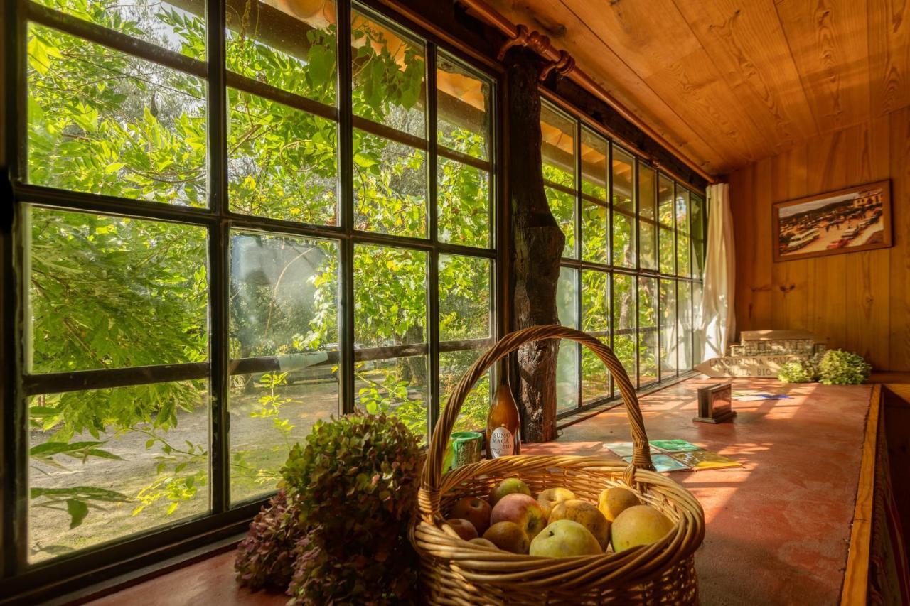 Chale Da Quinta "Lavoura Da Bouca - Fruta Bio" Vendégház Celorico De Basto Kültér fotó