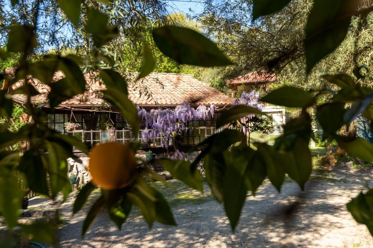 Chale Da Quinta "Lavoura Da Bouca - Fruta Bio" Vendégház Celorico De Basto Kültér fotó