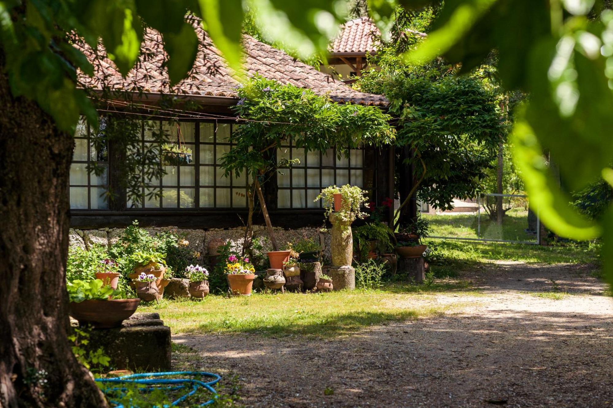 Chale Da Quinta "Lavoura Da Bouca - Fruta Bio" Vendégház Celorico De Basto Kültér fotó